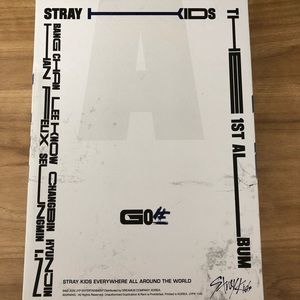Stay Kids GO LIVE Album